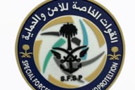 القوات الخاصة للأمن والحماية القوات الخاصة للأمن والحماية