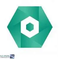الشركة الوطنية لخدمات الإسكان