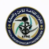القوات الخاصة للأمن والحماية