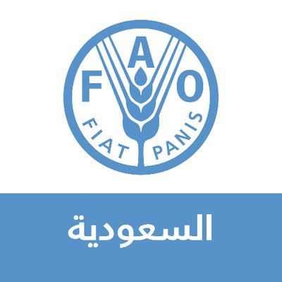 وظائف شاغرة, وظيفة, توظيف